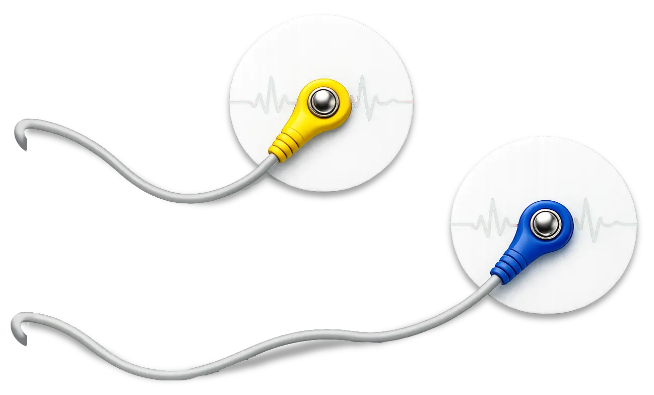 Illustrazione elettrocardiogramma ECG
