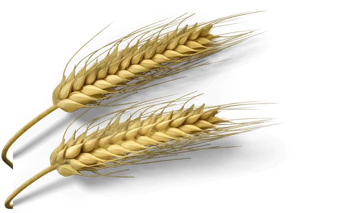 Ілюстрація безглютенових та низькобілкових продуктів