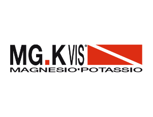 logo MGKVIS
